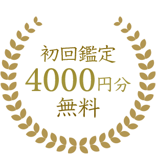 Ӓ4000~