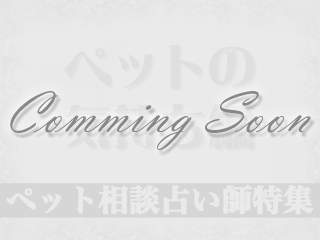ペット相談占い師特集【ペットの気持ち編】