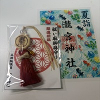 asset/image/present/i4262.jpg