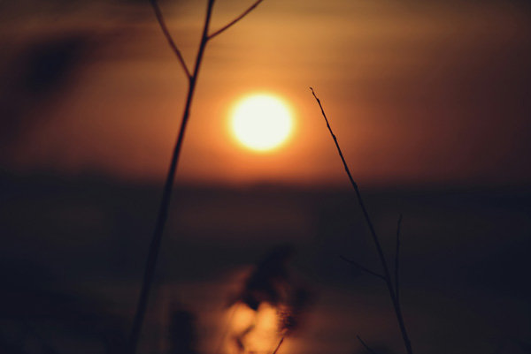 夏至